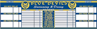 Swimming Record Board Swimming Record Board
